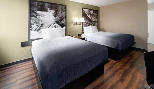 Standard Room, 2 Double Beds