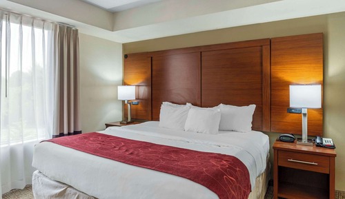 Premier Suite, 1 Bedroom, Non Smoking, Jetted Tub (King Bed and Sofa Bed)