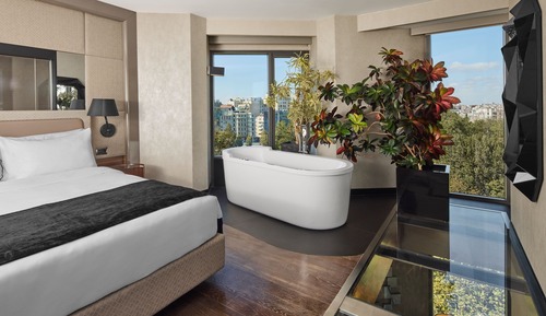 Suite, 1 Bedroom, Non Smoking (View)