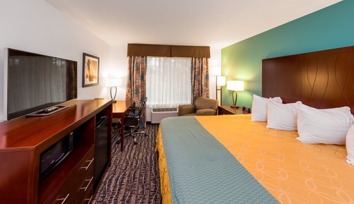 Deluxe Suite, 1 King Bed, Refrigerator & Microwave (Non Pet Friendly)