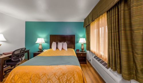 Standard Room, 1 Queen Bed, Refrigerator & Microwave (Pet Friendly)