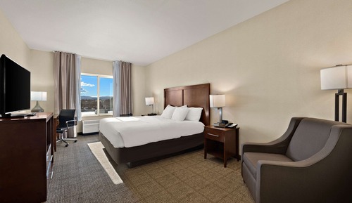 Standard Room, 1 King Bed, Non Smoking