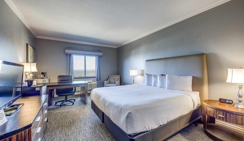Room, 1 King Bed, Accessible, Non Smoking