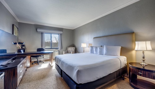Standard Room, 1 King Bed, Non Smoking