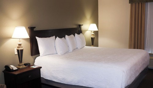 Room, 1 King Bed, Mobility Accessible, Non Smoking (Bathtub with Grab Bars)