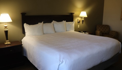 Room, 1 King Bed, Mobility Accessible (Roll-In Shower)