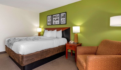 Standard Room, 1 King Bed, Non Smoking