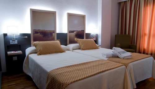 Standard Double or Twin Room