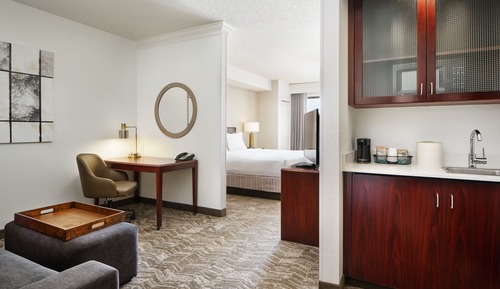 Suite, 1 King Bed with Sofa bed, Non Smoking, Mountain View