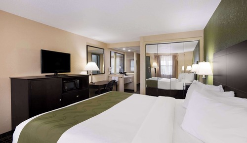 Suite, 1 King Bed with Sofa Bed, Non Smoking, Not Pet Friendly