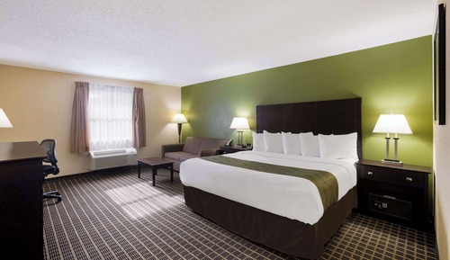 Standard Room, 1King Bed, Non-Smoking, Not Pet Friendly