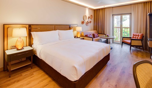 Standard Double Room, 1 King Bed