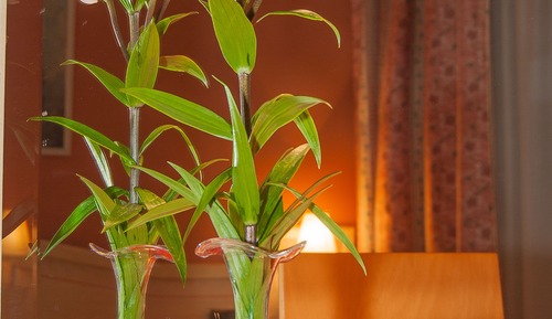 Double Room (con supletoria)