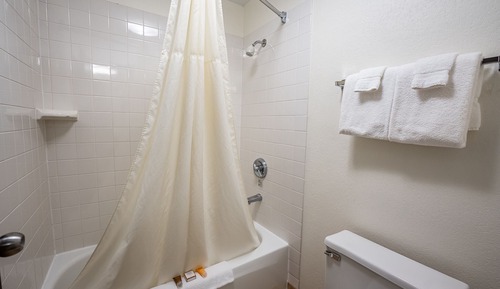 Standard Room (King Non-Smoking)
