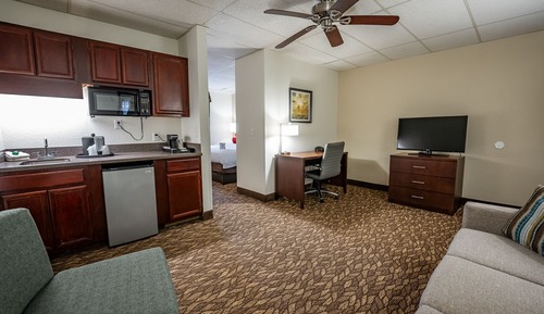 Deluxe Suite, 1 Queen Bed with Sofa bed