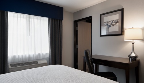 Suite, 1 Bedroom