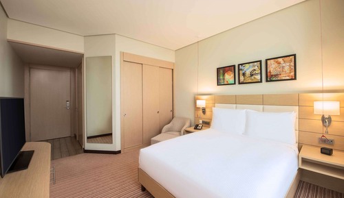 Room, 1 King Bed