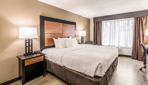 Standard Room, 1 King Bed, Non Smoking