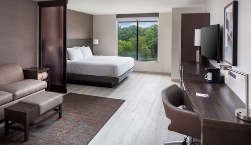 Room, 1 King Bed with Sofa bed