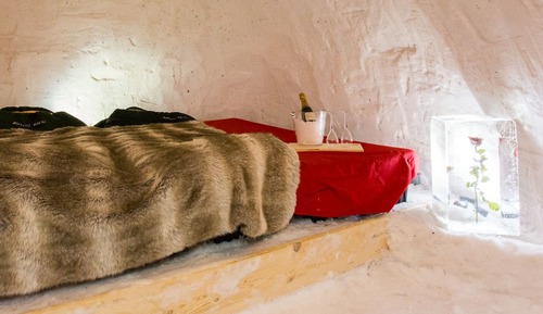 Double Room (Duo Igloo)