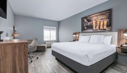 Room, 1 King Bed, Non Smoking