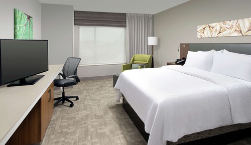 Suite, 1 King Bed, Accessible (Mobility & Hearing, Roll-in Shower)
