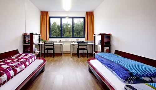 Basic Room, Accessible, Mountain View