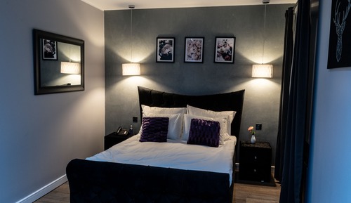 Executive Room, 1 King Bed