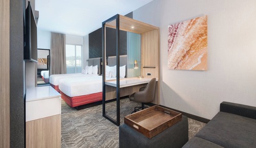 Suite, 1 King Bed, Non Smoking (Mobility/Hearing Access, Roll-In Shwr)
