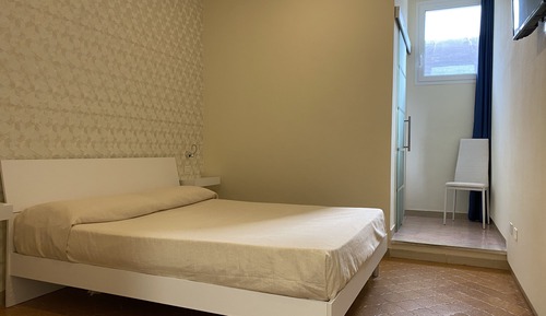 Basic Double Room