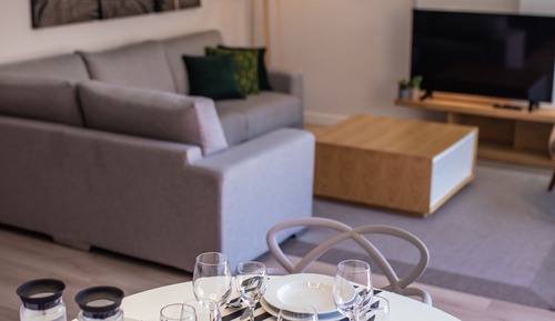 Premium Apartment, 2 Bedrooms, Balcony (Large Apartment-Type C)