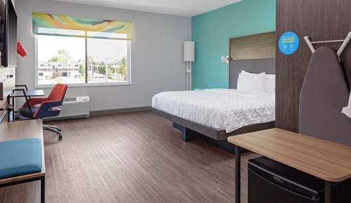 Room, 1 King Bed