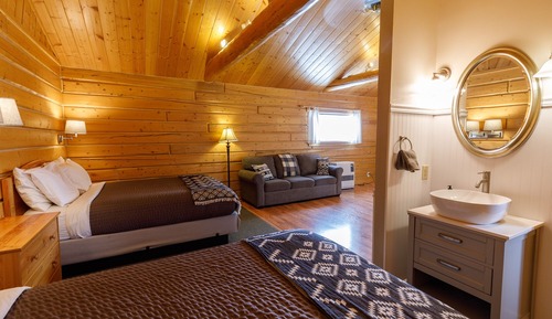 Premier Cabin, Multiple Beds, Kitchen (03)