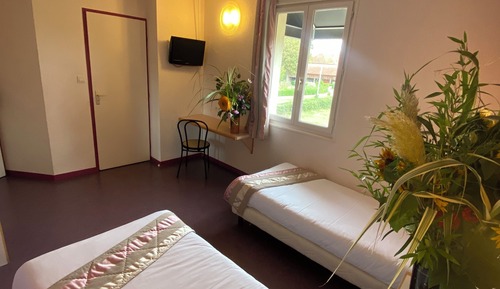 Standard Single Room