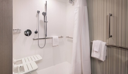 Room, 1 King Bed (Mobility Accessible, Roll-In Shower)