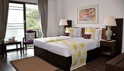 Deluxe Twin Room