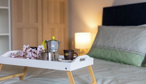 Apartment, Pets Allowed, City View