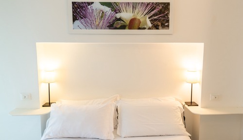 Economy Double or Twin Room
