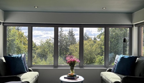 Luxury Suite, 1 King Bed, Non Smoking, Garden View