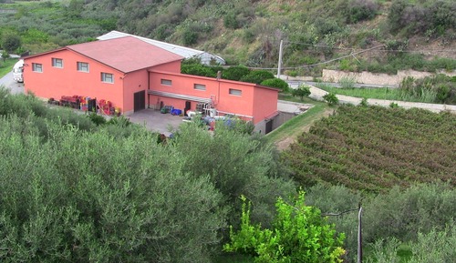 Apartment, Garden View