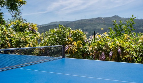 Apartment (Room with Mountain View)