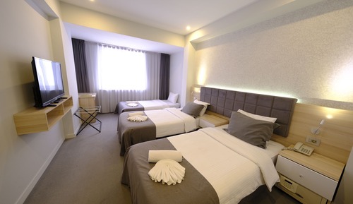 Deluxe Triple Room