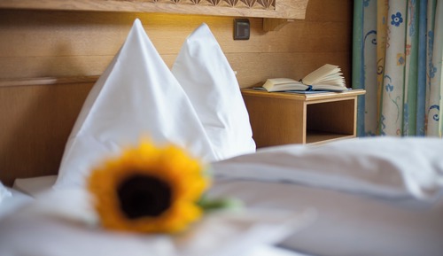 Basic Double Room, Mountain View