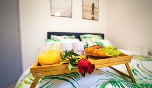 Deluxe Apartment, 1 Double Bed with Sofa bed, Hot Tub, Garden View