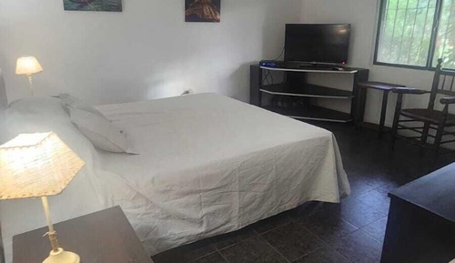 Basic Double Room, Garden View