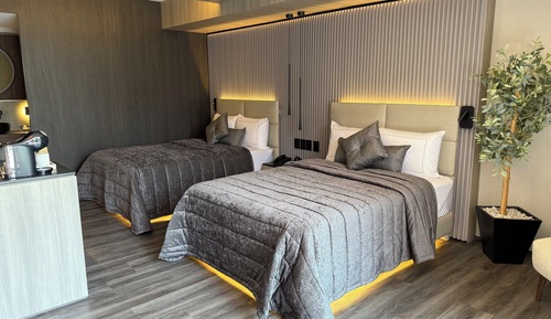 Deluxe Double Room, Mountain View