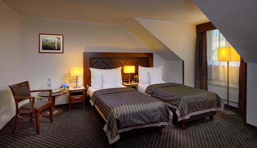 Deluxe Double or Twin Room