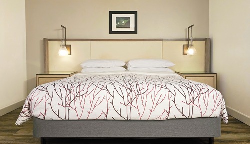 Premium Room, 1 King Bed, Balcony, Mountain View