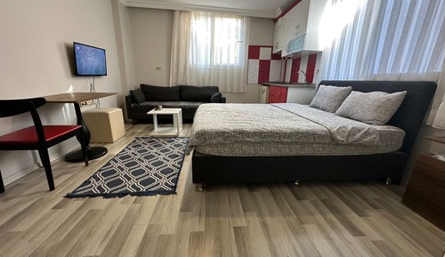 Economy Studio, City View