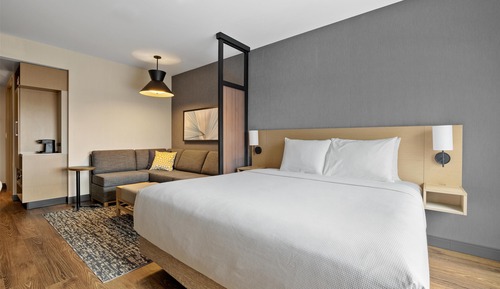 Room, 1 King Bed with Sofa bed